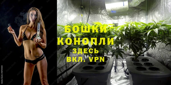 бошки Алексин