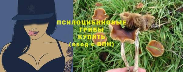бошки Алексин