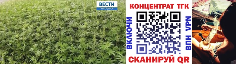 где можно купить   mega онион  ТГК THC oil  Сольвычегодск 