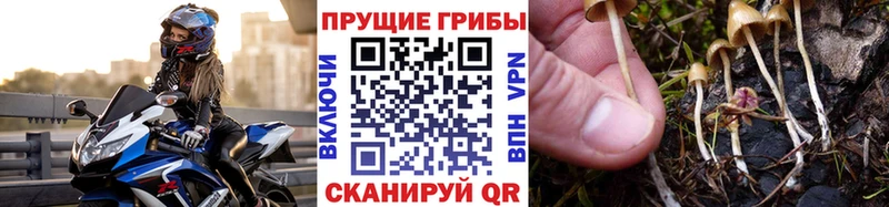 купить наркотики цена  Сольвычегодск  Псилоцибиновые грибы прущие грибы 